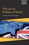 Federico (Professor of Law Fabbrini, Federico Fabbrini, Fabbrini Federico - Law & Politics of Brexit