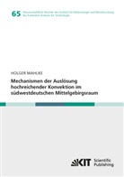 Holger M. Mahlke, Holger Matthias Mahlke - Mechanismen der Auslösung hochreichender Konvektion im südwestdeutschen Mittelgebirgsraum