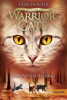 Erin Hunter, Anja Hansen-Schmidt - Warrior Cats - Die Macht der drei. Sonnenaufgang