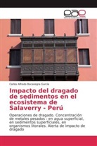 Carlos Alfredo Bocanegra García - Impacto del dragado de sedimentos en el ecosistema de Salaverry - Perú