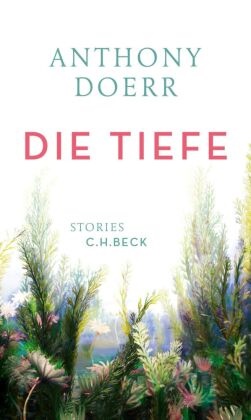 Anthony Doerr - Die Tiefe - Stories