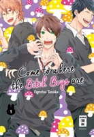 Ogeretsu Tanaka - Come to where the Bitch Boys are. Bd.1