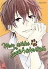 Yoko Nogiri - Mein wildes Geheimnis. Bd.3
