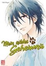 Yoko Nogiri - Mein wildes Geheimnis. Bd.1