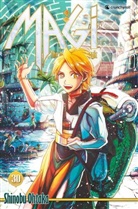 Shinobu Ohtaka - Magi, The Labyrinth of Magic. Bd.30