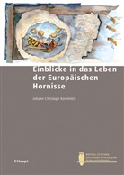 Johann-Christoph Kornmilch - Einblicke in das Leben der Europäischen Hornissen