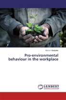 Oldrich Studynka - Pro-environmental behaviour in the workplace