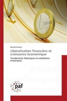 Bouzid Amaira - Libéralisation financière et croissance économique