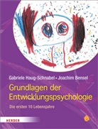 Joachim Bensel, Gabriel Haug-Schnabel, Gabriele Haug-Schnabel - Grundlagen der Entwicklungspsychologie