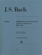 Johann Sebastian Bach, Georg von Dadelsen - Johann Sebastian Bach - Capriccio sopra la lontananza del fratello dilettissimo B-dur BWV 992.