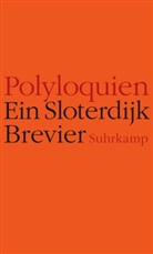 Peter Sloterdijk, Raimun Fellinger, Raimund Fellinger - Polyloquien