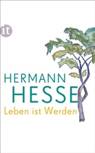 Hermann Hesse, Volke Michels, Volker Michels - Leben ist Werden