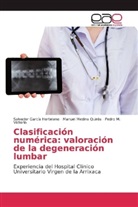 Salvado García Hortelano, Salvador García Hortelano, M, Pedro M. Victorio, Manue Medina Quirós, Manuel Medina Quirós... - Clasificación numérica: valoración de la degeneración lumbar