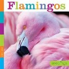 Quinn M. Arnold - FLAMINGOS