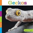 Kate Riggs - GECKOS
