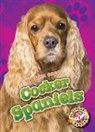 Nathan Sommer - Cocker Spaniels