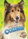 Mari Schuh, Mari C Schuh, Mari C. Schuh - Collies