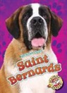 Nathan Sommer - Saint Bernards