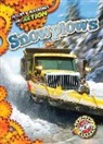 Rebecca Pettiford - SNOWPLOWS