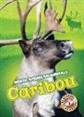 Megan Borgert-Spaniol - CARIBOU