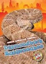 Betsy Rathburn - DIAMONDBACK RATTLESNAKES