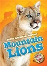 Betsy Rathburn - MOUNTAIN LIONS
