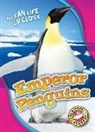 Heather Adamson - Emperor Penguins