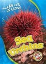Heather Adamson - Sea Urchins