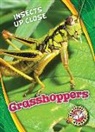 Patrick Perish - Grasshoppers