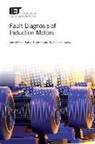 Faiz, Jawad Faiz, Jawad (Professor Faiz, Ghorbanian, Vahid Ghorbanian, Vahid (McGill University Ghorbanian... - Fault Diagnosis of Induction Motors
