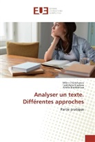 Brambarova, Anélia Brambarova, Mile Chiptchanov, Milen Chiptchanov, Tzvétilen Krasteva, Tzvétilena Krasteva - Analyser un texte. Différentes approches