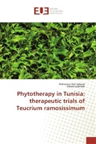Mohame Ben Sghaier, Mohamed Ben Sghaier, Tahani Louhichi - Phytotherapy in Tunisia: therapeutic trials of Teucrium ramosissimum