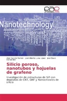 Abe Garzón Román, Abel Garzón Román, Hernán, José David Hernández, José Albert Luna López, José Alberto Luna López - Silicio poroso, nanotubos y hojuelas de grafeno
