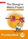 Amanda Simpson - The Shanghai Maths Projects