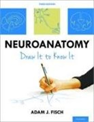 Adam Fisch, Adam J Fisch, Adam J. Fisch, Adam J. (Md Fisch - Neuroanatomy