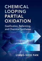 Liang-Shih Fan, Liang-Shih (Ohio State University) Fan, Fan Liang-Shih - Chemical Looping Partial Oxidation