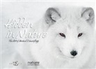 American Psychological Association, Levin, Anna Levin, Anna Library Levin, Nature Picture Library, Nature Picture Library - Hidden in Nature: Art of Animal Camouflage
