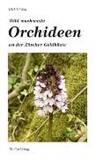 Dirk F. Went - Wild wachsende Orchideen an der Zürcher Goldküste