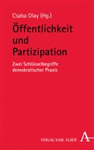 Csab Olay, Csaba Olay - Öffentlichkeit und Partizipation