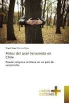 Miguel Angel Herrera Parra - Antes del gran terremoto en Chile