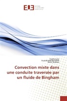 Youb Khale Benkahla, Youb Khaled Benkahla, Welid Berabou, Nabil Labsi, Nabila Labsi - Convection mixte dans une conduite traversée par un fluide de Bingham