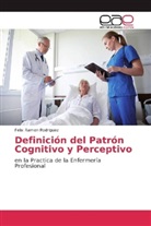 Felix Ramon Rodriguez - Definición del Patrón Cognitivo y Perceptivo