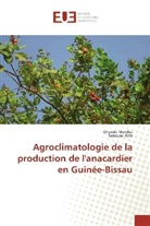Sanoussi Atta, Orland Mendes, Orlando Mendes - Agroclimatologie de la production de l'anacardier en Guinée-Bissau