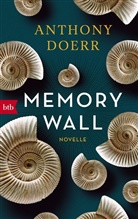 Anthony Doerr - Memory Wall