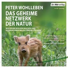 Peter Wohlleben, Peter Kaempfe - Das geheime Netzwerk der Natur, 6 Audio-CDs (Audio book)
