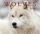 Firefly Books, Firefly Books (COR), Wall Calendar - Wolves 2018 Calendar