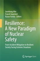 Joonhong Ahn, Kazuo Furuta, Franc Guarnieri, Franck Guarnieri - Resilience: A New Paradigm of Nuclear Safety