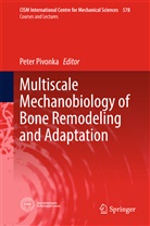 Pete Pivonka, Peter Pivonka - Multiscale Mechanobiology of Bone Remodeling and Adaptation