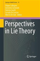 Filippo Callegaro, Giovann Carnovale, Giovanna Carnovale, Fabrizio Caselli, Fabrizio Caselli et al, Corrado De Concini... - Perspectives in Lie Theory