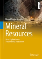 Manuel Bustillo Revuelta - Mineral Resources
